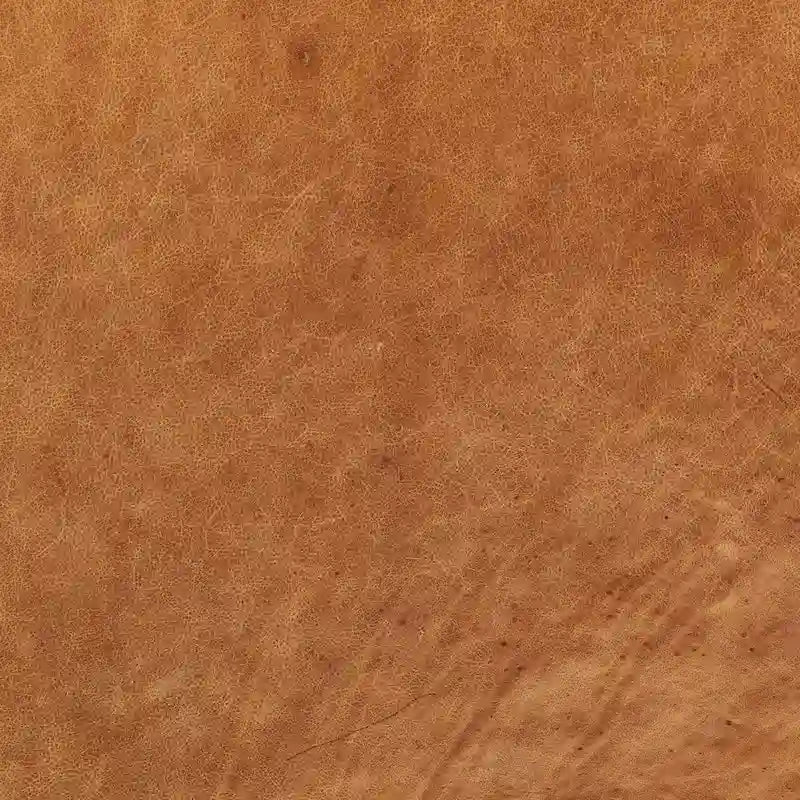 Fauteuil de salon en cuir véritable