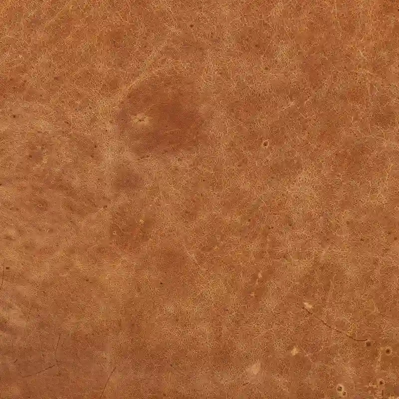 Fauteuil de salon en cuir véritable