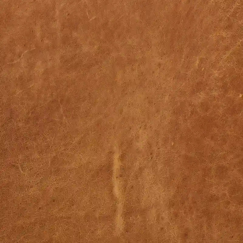 Fauteuil de salon en cuir véritable